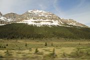 03 - Banff to Icefields - IMG_0912